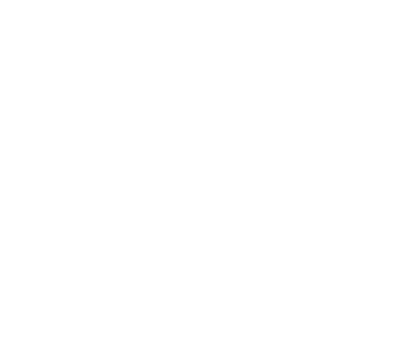 Maestri